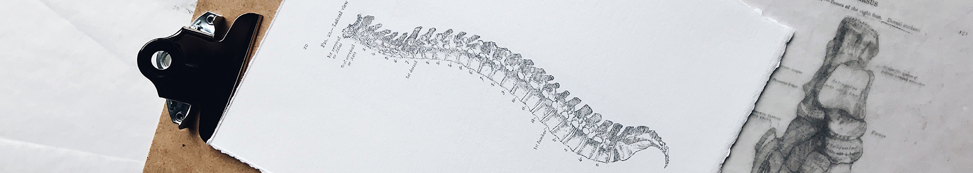 Drawing of the spine on a clipboard.