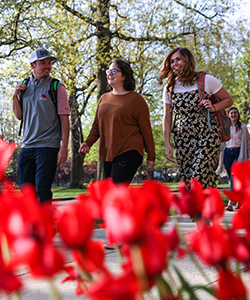 Students walking on campus.