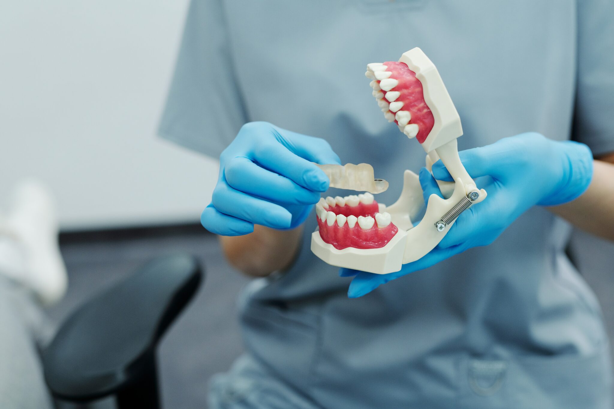 What is a PreDentistry Program PreDentistry Program